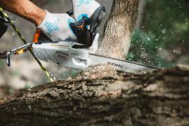 Stihl Chainsaw