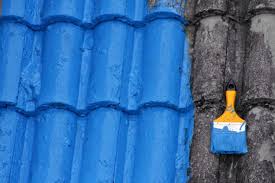Rubber Paint for Roofs