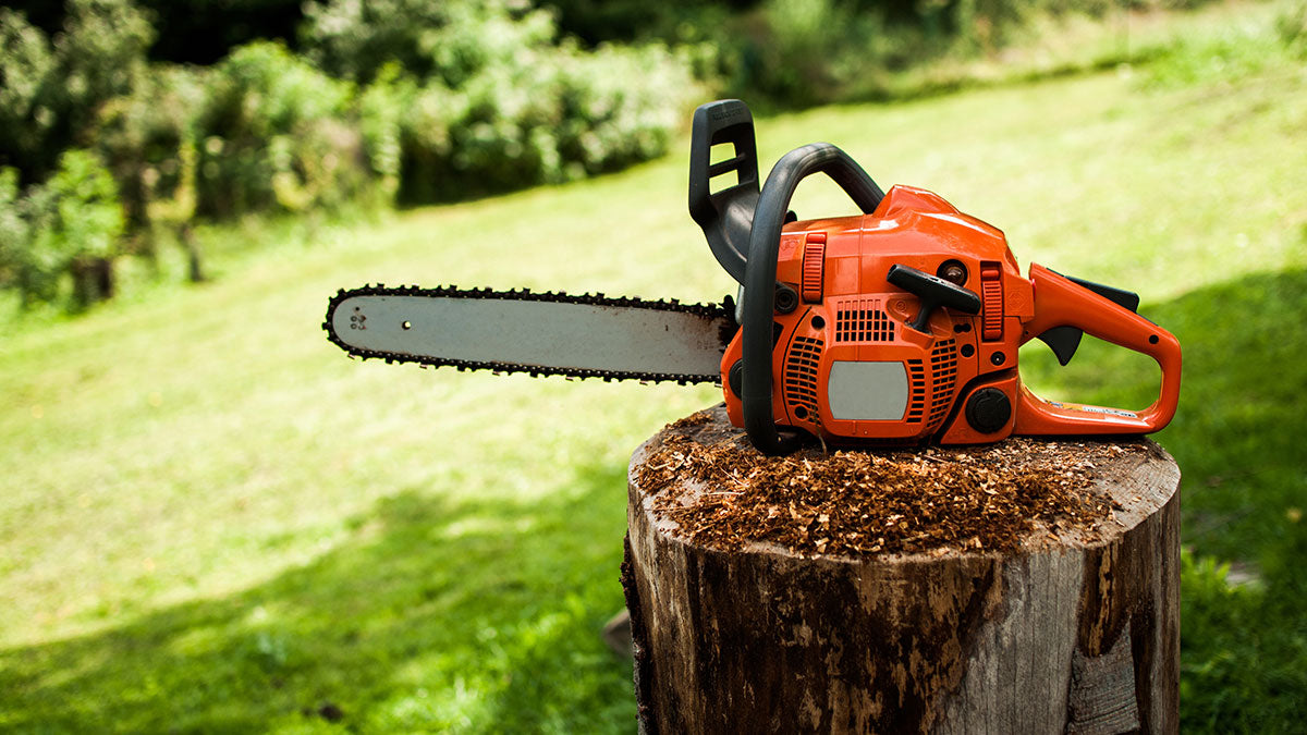 Chain Saw