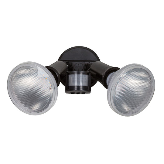 Lamp Par38x2 Security Light Eurolux FS32